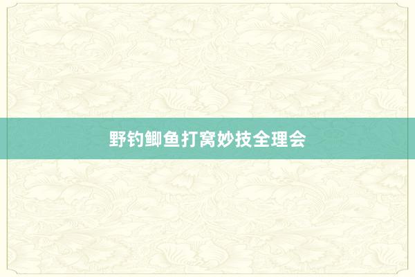 野钓鲫鱼打窝妙技全理会